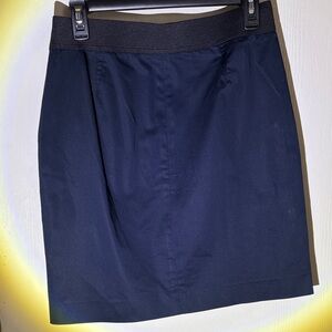 Banana Republic Dark Blue Pencil Skirt